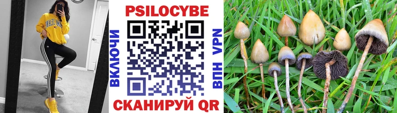 наркошоп  МЕГА вход  Псилоцибиновые грибы Magic Shrooms  Шахты 